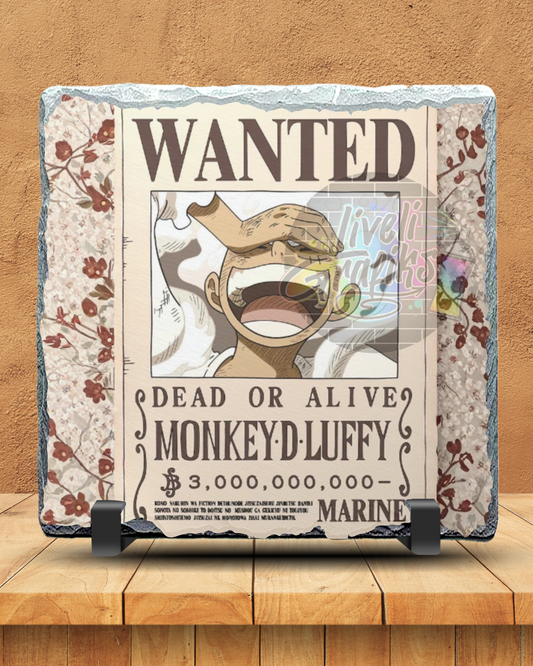 Leisteen One Piece 4